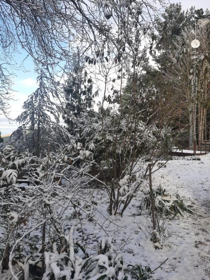 Camroshell Hotel Hogsback Buitenkant foto