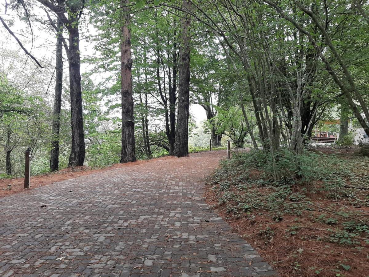 Camroshell Hotel Hogsback Buitenkant foto
